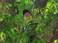 Pat in Tree 1